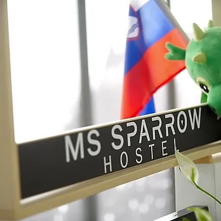 Ms Sparrow *