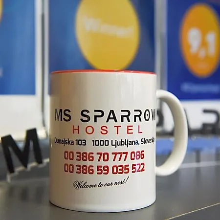 Ms Sparrow