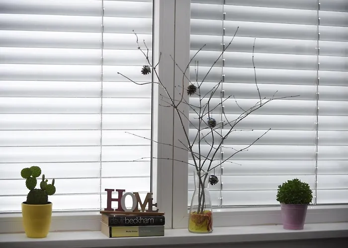 Ms 스패로 호스텔 류블랴나