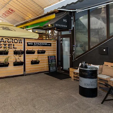 بيت شباب Ms Sparrow *