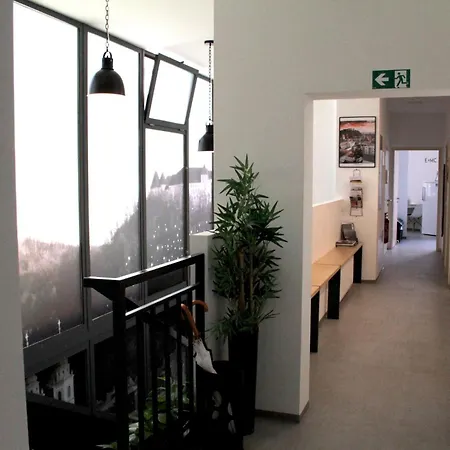 Ms Sparrow بيت شباب