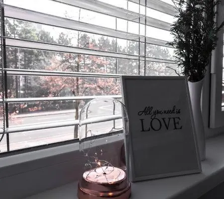 Ms Sparrow ليوبليانا