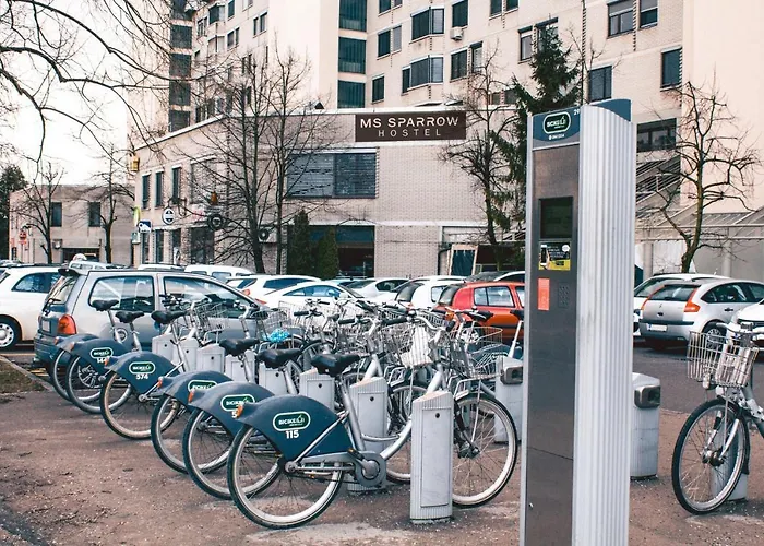 Ms Sparrow Auberge de jeunesse