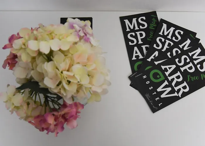 Auberge de jeunesse Ms Sparrow